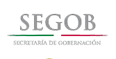 Juego Seguro SEGOB